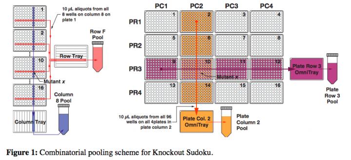 Combinatorial Pooling Scheme