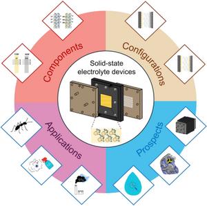 Electrochemical Solid-State Electrolyte Reactors: Configurations, Applications, and Future Prospects