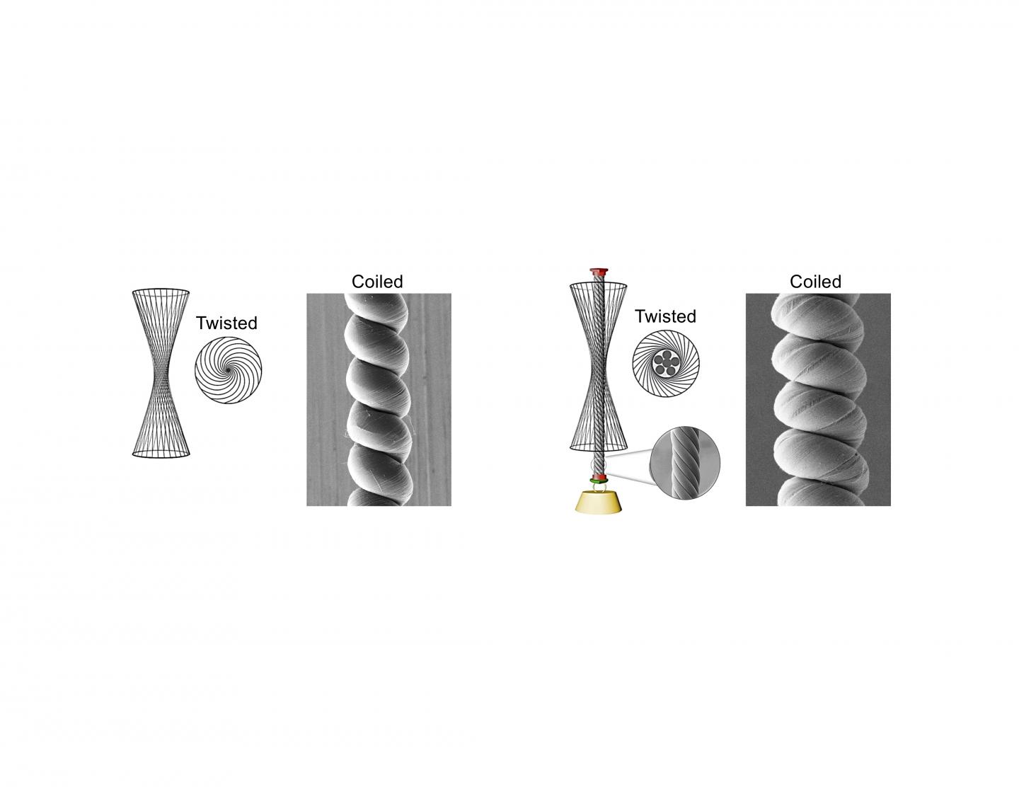 Fiber-Based Artificial Muscles Get New and Powerful Twists (5 of 8)