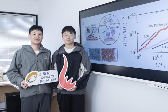Prof. CHEN Shensheng (left) and PhD student WU Zongpei (right) simulated the whole process of liquid-liquid phase separation from start to finish