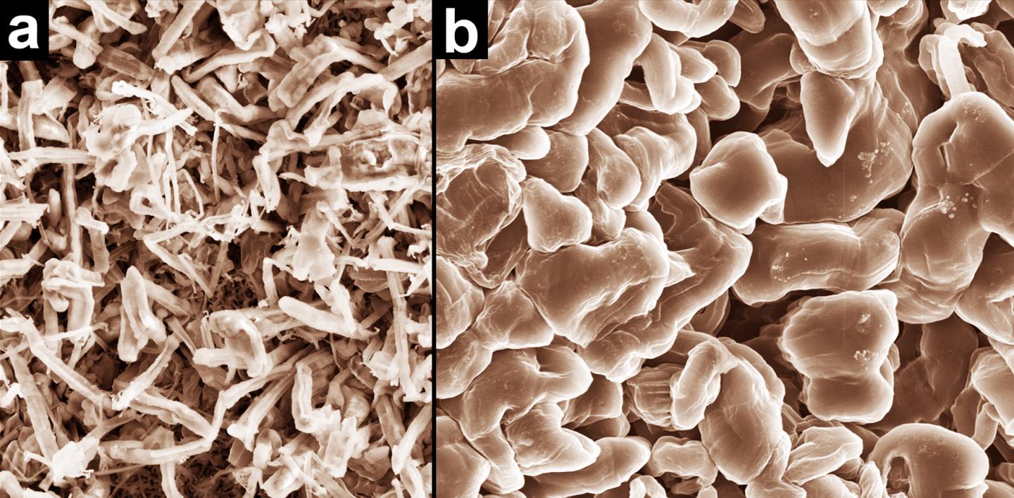 Dendrite-Free Rechargable Batteries