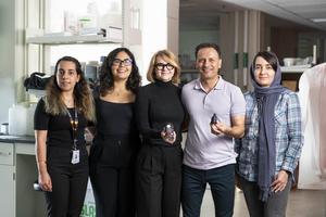 Bfree menstrual cup