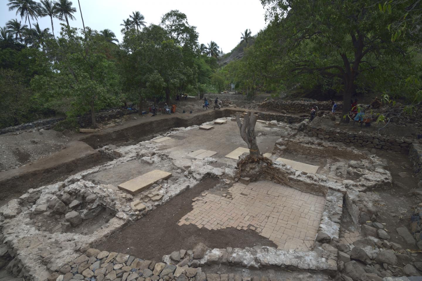 The Excavation Site