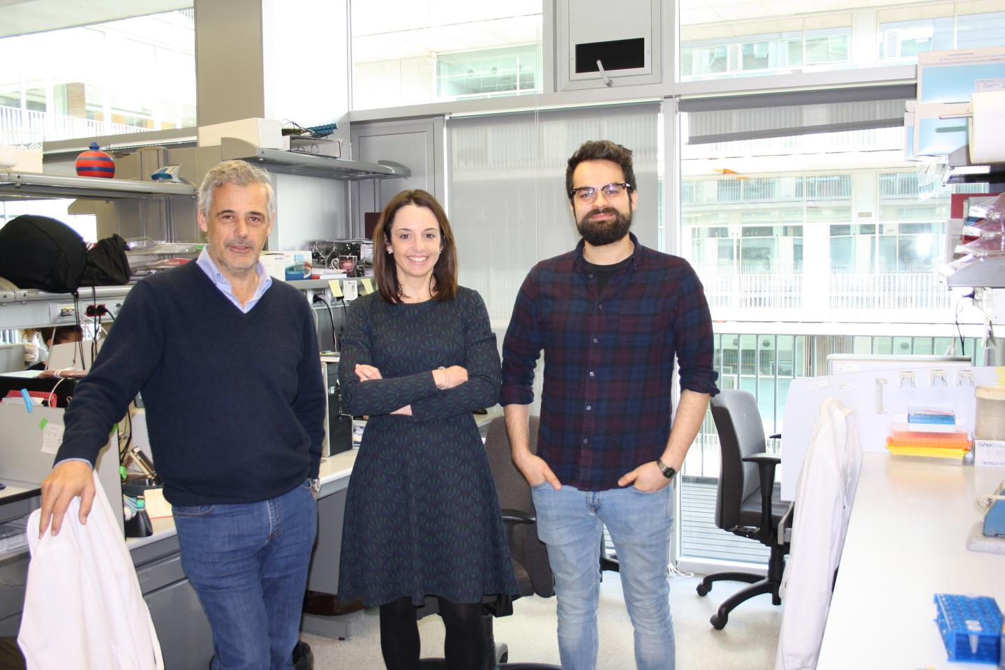 Research Team