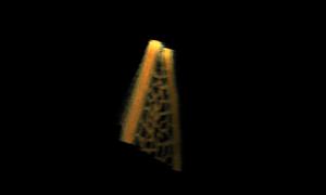 Imaging results