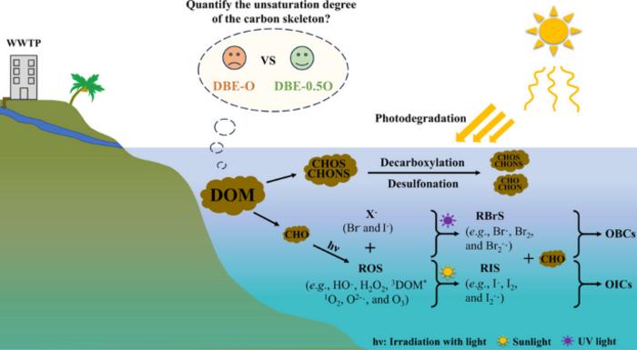 Molecular characterization of coastal seawater dissolved organic matter by ultrahigh-resolution mass spectrometry: a photochemical study of the Tokyo Bay, Japan