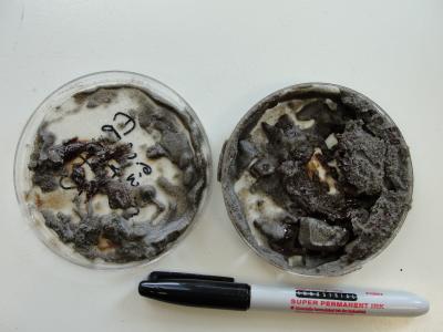 Heavily Oiled Sediments