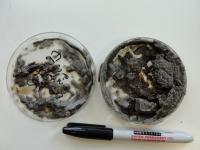 Heavily Oiled Sediments