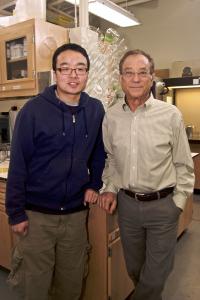 Dong Woog Lee and Jacob N. Israelachvili, University of California - Santa Barbara