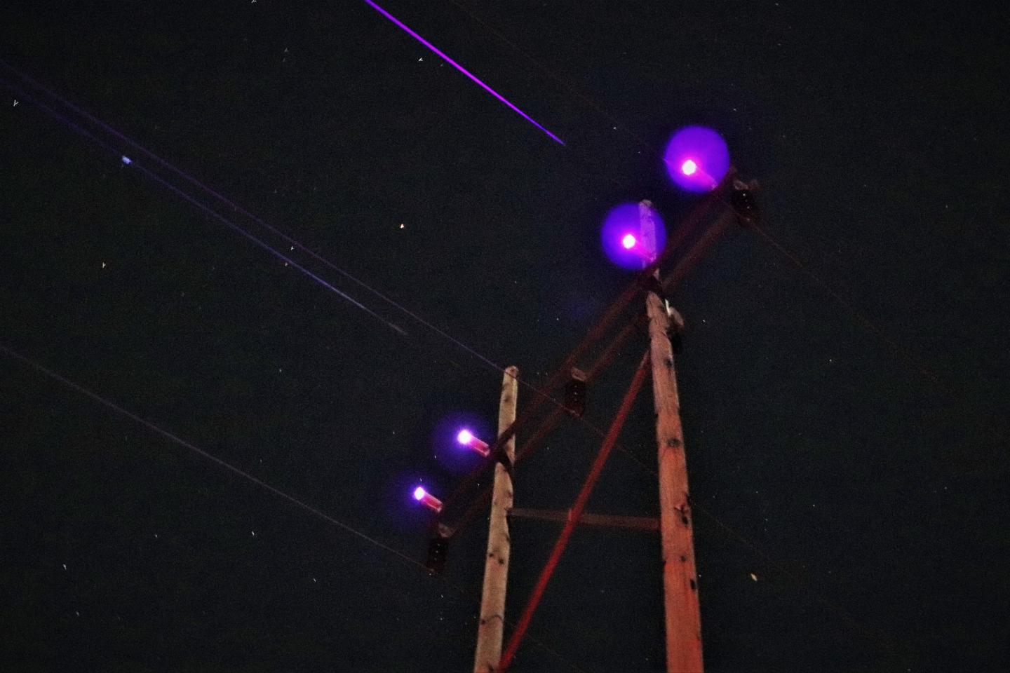 Avian Collision Avoidance System
