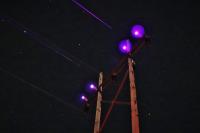 Avian Collision Avoidance System