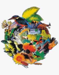 Illustration of Animals and Plants