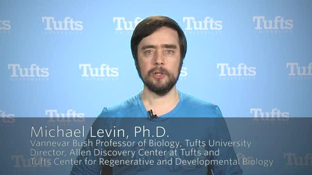 Professor Michael Levin, Tufts University