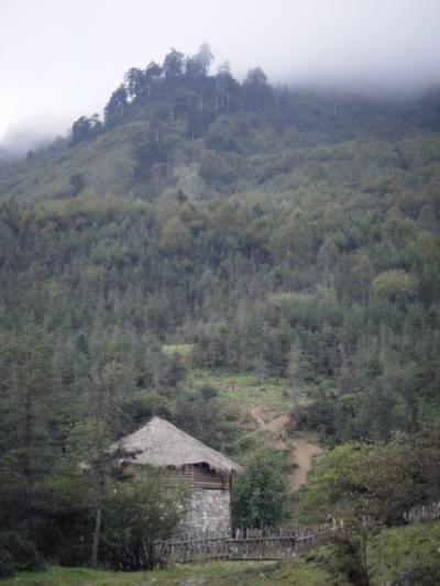 Restoring Forestland in Western China