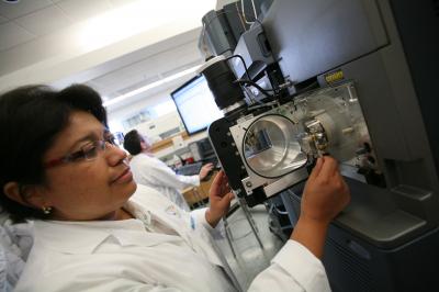 Lab