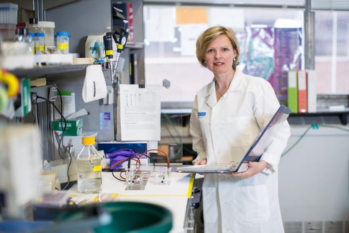 Dr. Jacqueline M. Achkar, Albert Einstein College of Medicine
