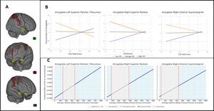 Lifetime Physical Activity Moderates the Neural Effects of Childhood Adversity on Resting State Functional Connectivity