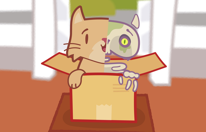 Game App Kitty Q
