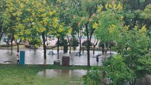 Heavy Rainfall on 13 September 2024