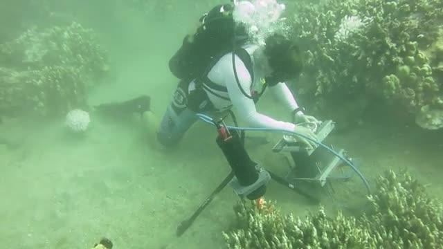 Benthic Underwater Microscope