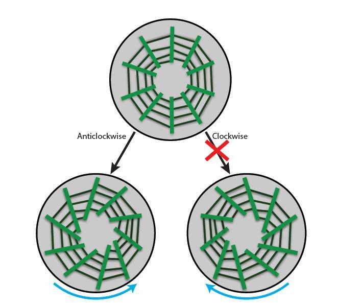 Schematic Twist