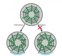 Schematic Twist
