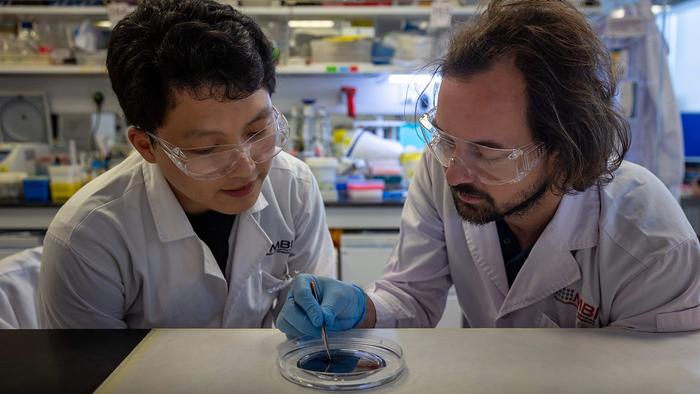 Asst Prof Andrew Holle (right) and PhD student Gao Xu (left), first author of the research paper, discuss features on the silicon wafer containing the mould of their microchannel device.