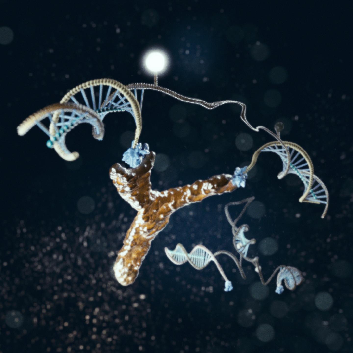 Detecting HIV Diagnostic Antibodies with DNA Nanomachines