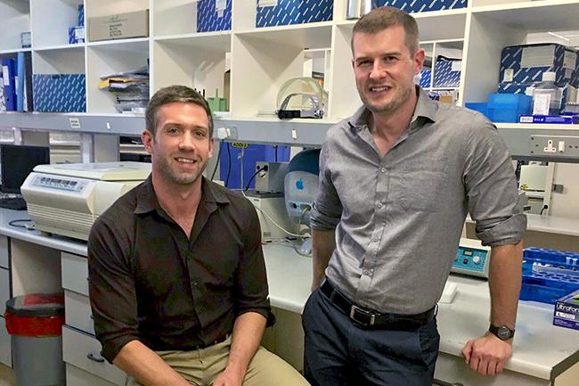 David Raiser and Iain MacLeod, Harvard University
