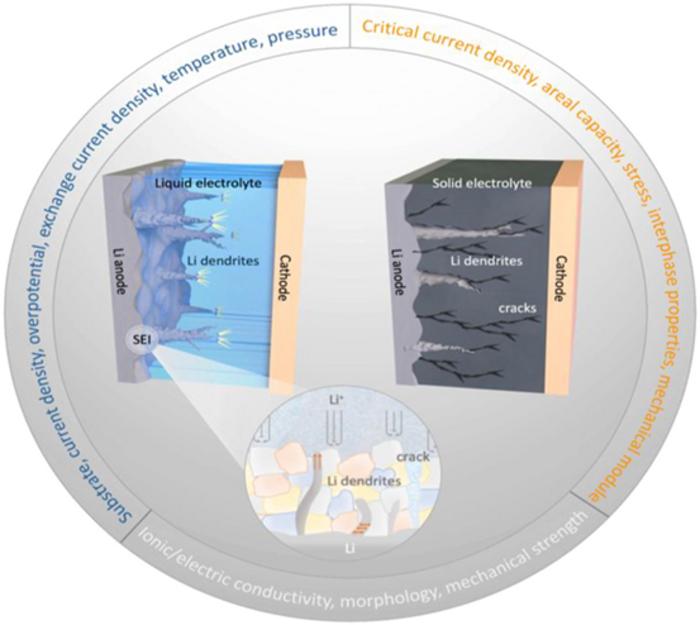 Electro-Chemo-Mechanical Origins of Lithium Dendrite Growth