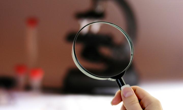 Spanish University Research Activity