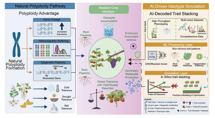 CRISPR/Cas-mediated precision genome editing for abiotic stress resilience in horticultural crops.
