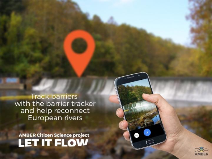 H2020 AMBER Project