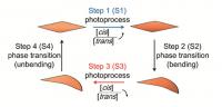 Schematic Illustration