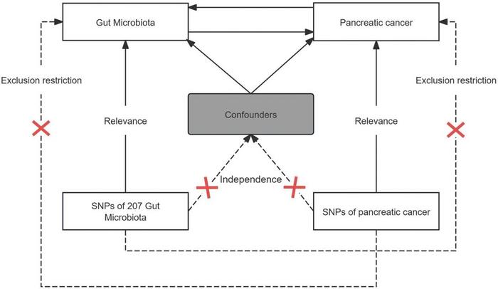 Overview of the Mendelian Randomization Study Design