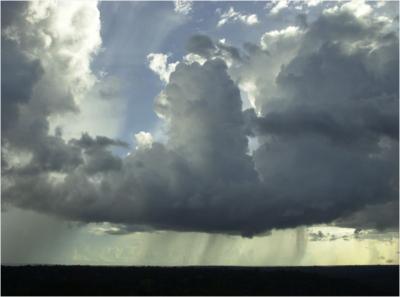 Typical Cumulus Cloud