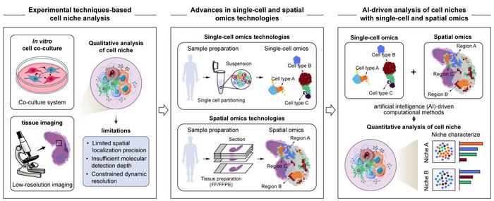 Overview of advances in cell niche research.
