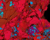 Meteorite's Inclusions Incorporated Short-Lived Radionuclie Curium-247