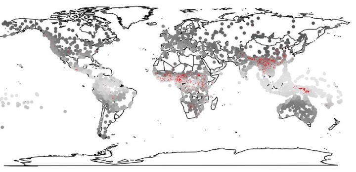 Languages and Humidity