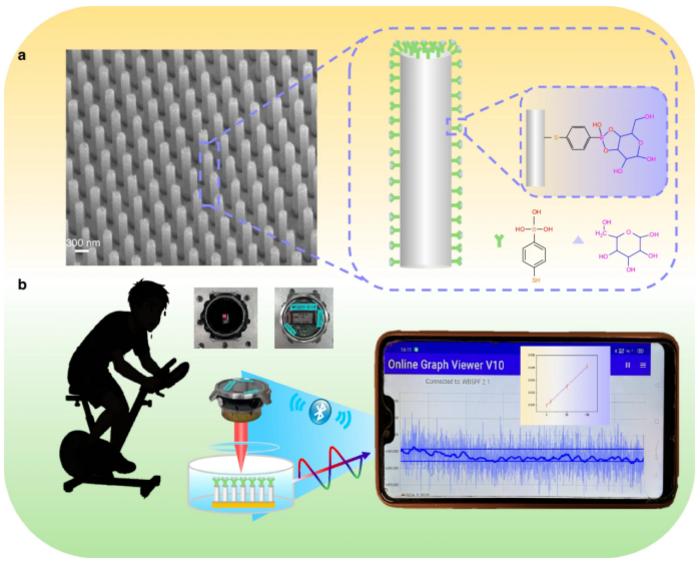 The schematic diagram shows a glucose detection platform that integrates a plasma silver nanopillar sensor with an optical watch system.
