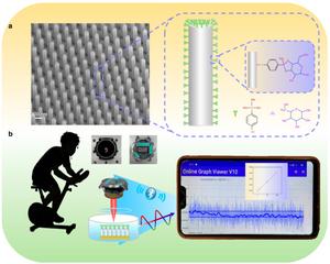 The schematic diagram shows a glucose detection platform that integrates a plasma silver nanopillar sensor with an optical watch system.