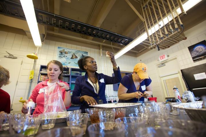 Biocube Volunteers