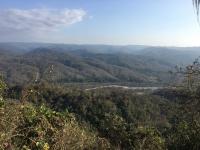 Seasonally dry tropical forest in Tumbes, Peru