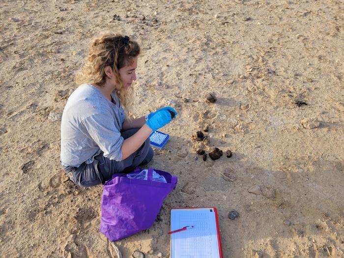 Fieldwork