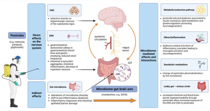 Convergent pathways -microbiome and pesticides in PD