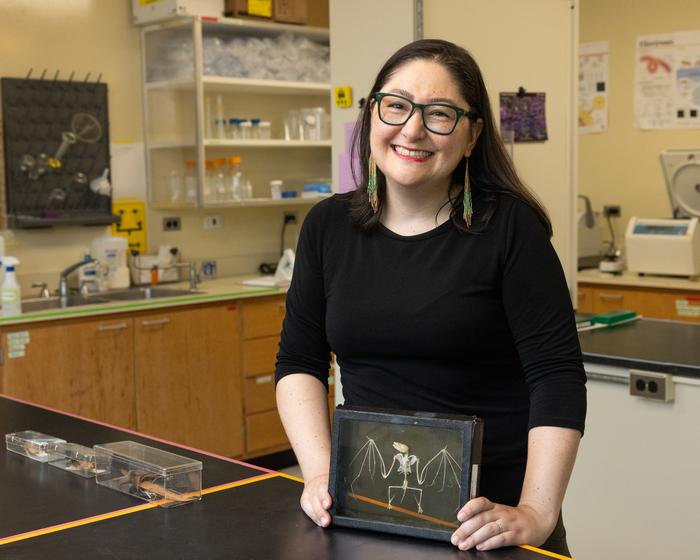 How bats tolerate viruses: Tulane study sheds light on one of nature’s biggest immune mysteries