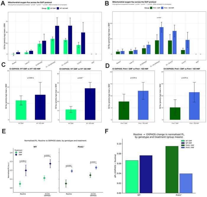 Hypomagnetic fields modulate lifespan, physical ability and mitochondrial metabolism in a Pink1 model of neurodegeneration
