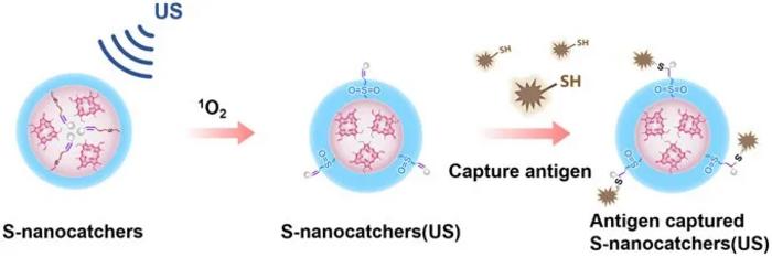 Ultrasound-responsive in situ antigen "nanocatchers" open a new paradigm for personalized tumor immunotherapy