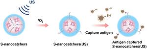 Ultrasound-responsive in situ antigen "nanocatchers" open a new paradigm for personalized tumor immunotherapy