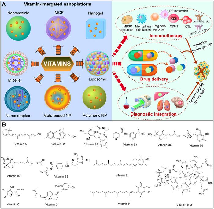 Schematic of Vitamin-Derived Nanoplatforms for Precision Oncology